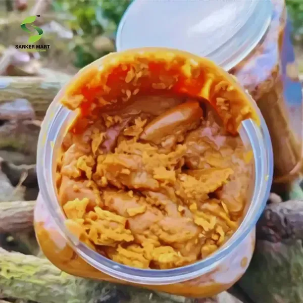 খেজুরের চকলেট বা বীজ গুড়
