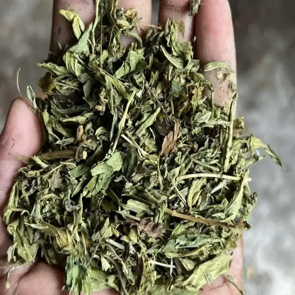 স্টেভিয়া পাতার পাউডার